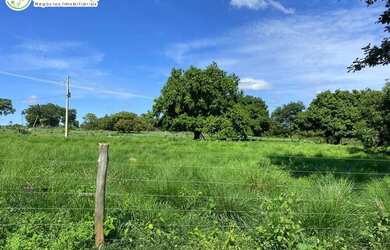 Imagem 3: FAZENDA À VENDA EM SANTA RITA - TO - 2.420 HECTARES (DUPLA APTIDÃO