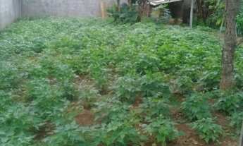 Imagem 4: Ponte Alta Norte Rua dos Pinheiros 400m² murado R$ 110.000