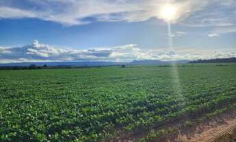 Imagem 3: Ótima fazenda de 520,00 hectares com ótima localização, em Nova Lacerda - MT