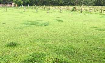 Imagem 3: EC - Vendo Terreno para Lazer e Tranquilidade, Venha Conferir !!