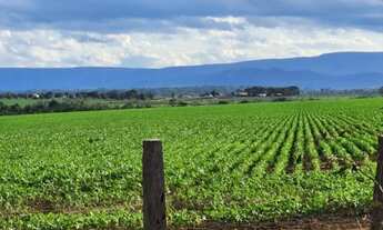 Imagem: Ótima fazenda de 520,00 hectares com ótima