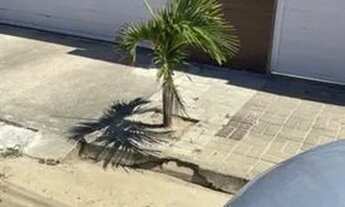 Imagem: Alugo casa em condomínio residencial