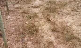 Imagem 5: Lote bairro Residencial Casa Grande