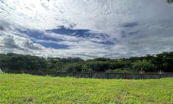 Imagem 7: Terreno Alphaville III 560 m²