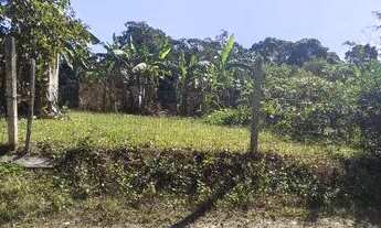 Imagem 4: Vendo terreno na vila da gloria