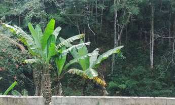 Imagem 4: 127 mil reais com cachoeira 1 hectares