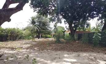 Imagem 4: VENDO 2 SITIOS EM PINDORETAMA