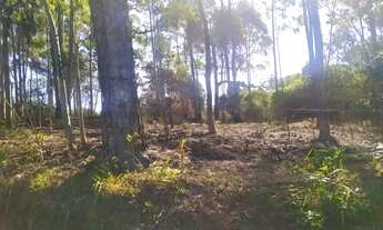 Imagem 2: JSA16-Terreno localizado em ibiúna