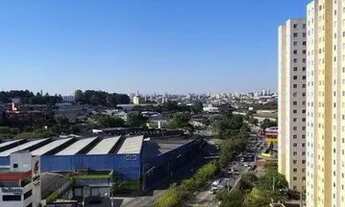 Imagem 6: DIADEMA - Padrão - Canhema