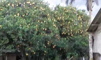 Imagem 3: Vendo casa no capáo do leão mini chácara