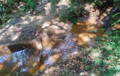 Imagem 4: Fazenda/Sítio/Chácara para venda com 22000 metros quadrados