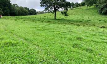 Imagem 7: LP- Terrenos demarcados e planos