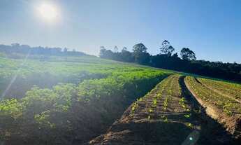 Imagem 3: KP- Loteamento fechado em Ibiúna- SP fácil acesso