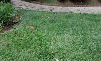 Imagem 2: Ótimo terreno no Jardim Salaco, Teresópolis, na região serrana do Rio de Janeiro