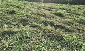 Imagem 7: Terreno para venda com 1000 metros quadrados em Rio Acima - Mairiporã - SP