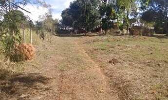 Imagem 4: Lote de 1022mts em igarapé barato !!!