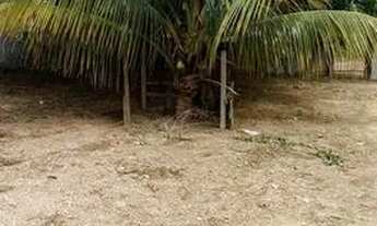 Imagem 7: Vendo Mini chácara 3 mil metros no Vale das Andorinhas, Novo Gama-GO