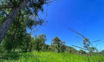 Imagem 5: Vendo Sítio com vista panorâmica de frente para rua principal