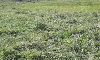 Imagem 2: Terreno para Venda em Imaruí, Recanto das Flores