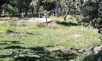 Imagem 6: Sítio em engenho das Lajes