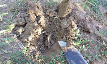 Imagem: Chacara 11.450 mt. Prox Novo Hospital Geral