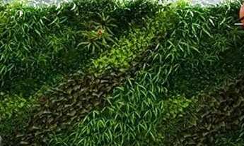 Imagem 3: Sensacional esquina da Bernardo!!com 2 quartos