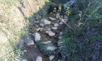 Imagem: 10 Alqueire sítio Corumbatai