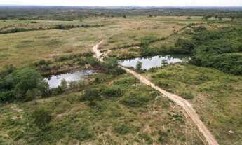 Imagem: Fazenda no Minucipio de Rosario Oeste