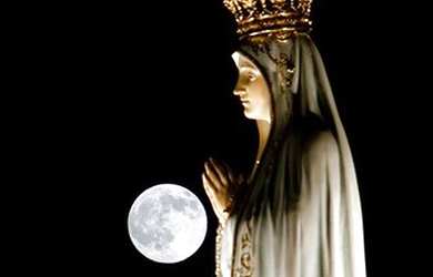 Imagem 2: Apartamento para aluguel possui 20 metros quadrados com 1 quarto