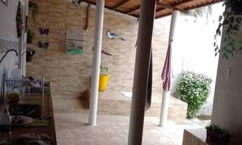 Imagem 4: Casa em Jardim Tropical