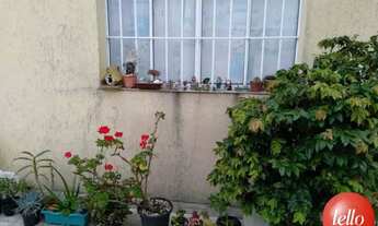 Imagem 2: São Paulo - Casa Padrão - São Lucas