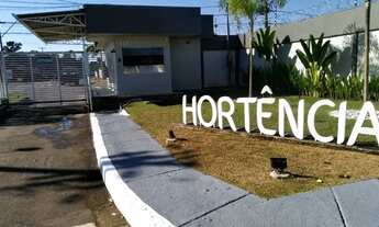 Imagem: Aluga-se casa