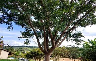 Imagem 5: Casa no condomínio encanto do lago I