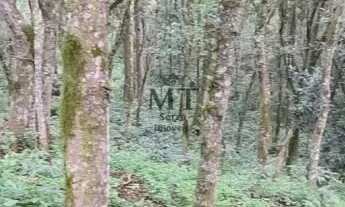 Imagem 2: Área de terra bairro Linha Olinda, Nova Petropólis.RS REF: 246