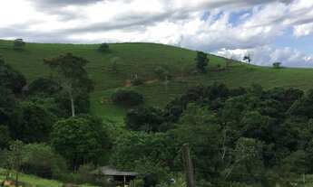 Imagem: Vendo Sítio com 2 Alqueires em Serrinha