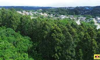 Imagem 5: Terreno para Venda em Nova Petrópolis, Pousada da Neve