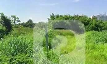 Imagem 5: Terreno plano no Recreio, com RGI pronto e alto potencial para condomínio de casas