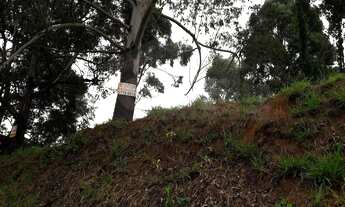 Imagem 4: Terreno à venda em São Paulo-SP, bairro Parque dos Príncipes, 494m² de área. Imperdível op