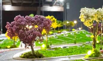 Imagem 2: Jardim botânico