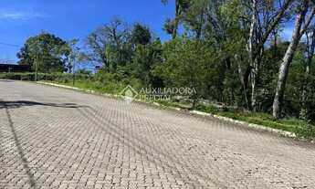 Imagem 7: Loteamento Bosque das Araucárias - Linha Imperial