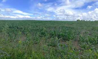 Imagem 4: Vendo chcara Fazenda / sítio com venda por R$2.500.000