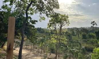 Imagem 6: Vendo chácara de 6.4 hectares no núcleo rural quintas do Maranhão
