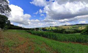 Imagem 7: Sítio à venda, 96800 m² por R$ 500.000,00 - Centro - Guaraniaçu/PR