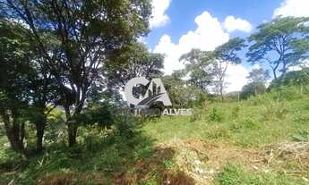 Imagem 7: Terreno a venda de 1.000 metros a venda jardim Petrópolis de Goiânia, ótima localização, a