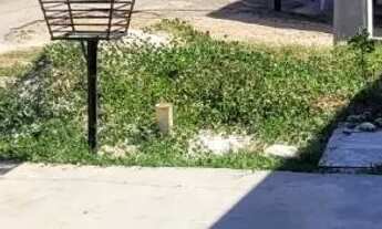 Imagem 5: ALuga-se casa na principal para Empresa Em jatoba Barrra dos coqueiros..