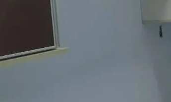 Imagem 5: Chácara a venda em Feliz