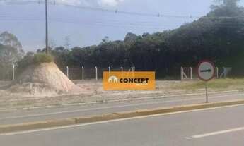 Imagem 4: Área, 11447 m² - venda por R$ 3.300.000,00 ou aluguel por R$ 10.297,00/mês - Palmeiras de