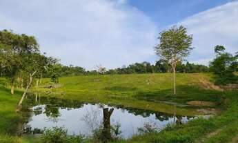 Imagem 6: Vende se essa linda fazenda