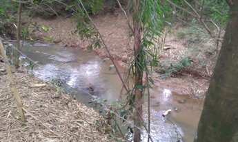 Imagem: Chácara com Riacho