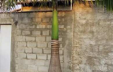 Imagem 6: Casa Estilo Loft Aluguel